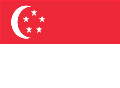 新加坡簽證簽證